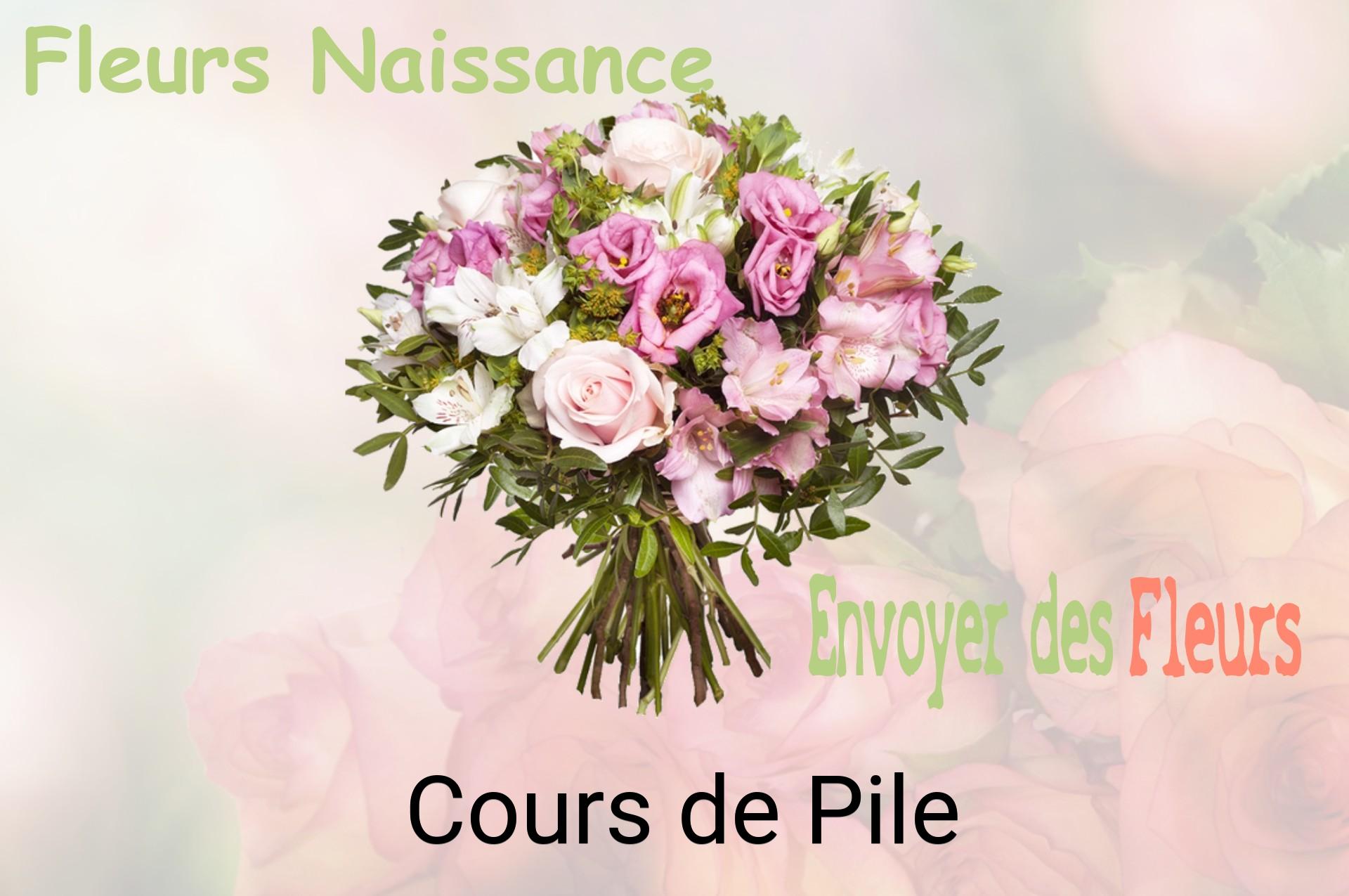 Bouquet de fleurs de naissance livré à Cours-de-Pile